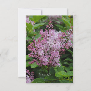 Lovely Lilac Note Card