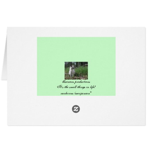 Lovely Lily (Back Horizontal)