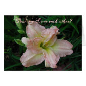 Lovely Lily (Front Horizontal)