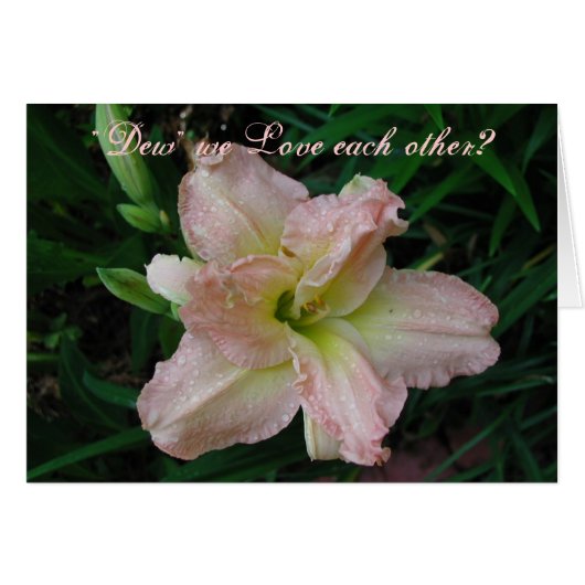 Lovely Lily (Front Horizontal)