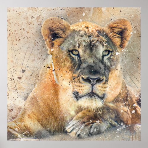 Lovely Lioness Photography Modern Watercolor Poster