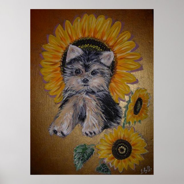 Lovely Little Dog and Sunflowers Poster (Front)