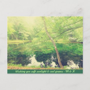 Lovely Little Pond Lush Green Tree Leaves Sunlight Postcard by BeverlyClaire at Zazzle
