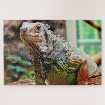 Lovely Lizard Colorful Iguana Puzzle by RiverJude at Zazzle