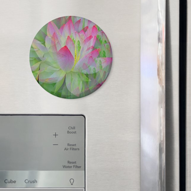 Lovely Lotus....... Magnet (In Situ (Fridge))