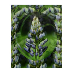 Lovely Lupine Flower Abstract Floral Art Acrylic