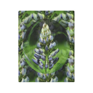 Lovely Lupine Flower Abstract Floral Art Metal