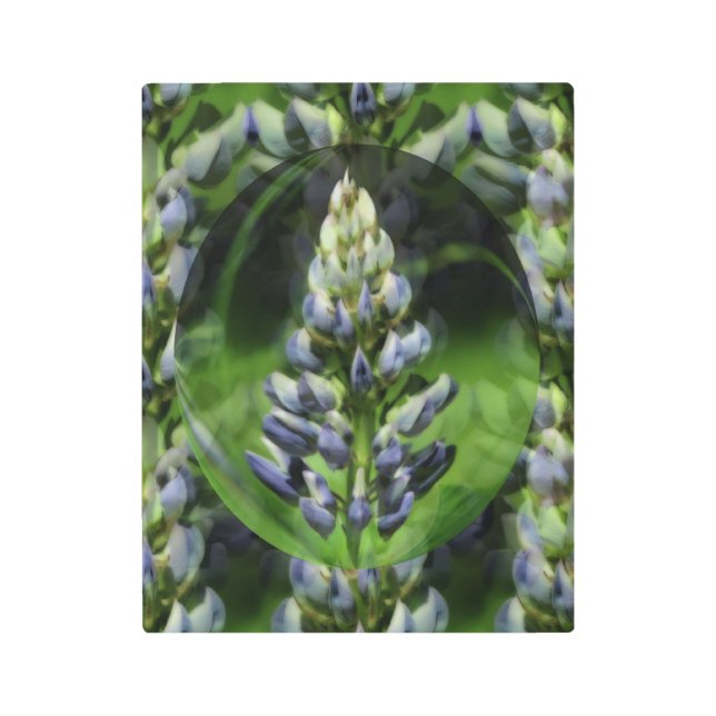 Lovely Lupine Flower Abstract Floral Art Metal (Front)