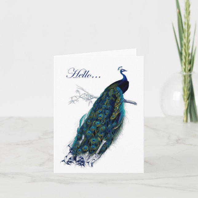 Lovely notecard featuring a gorgeous peacock (Front)
