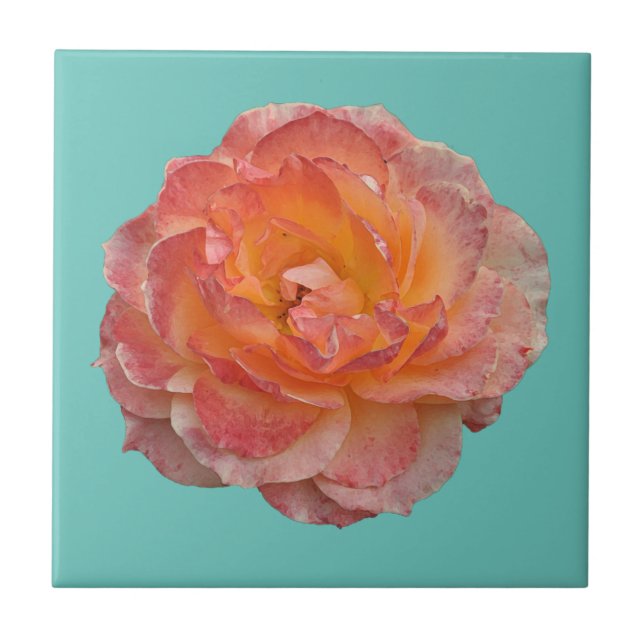 Lovely orange peony ceramic tile (Front)