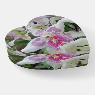 Lovely Orchid Paperweight