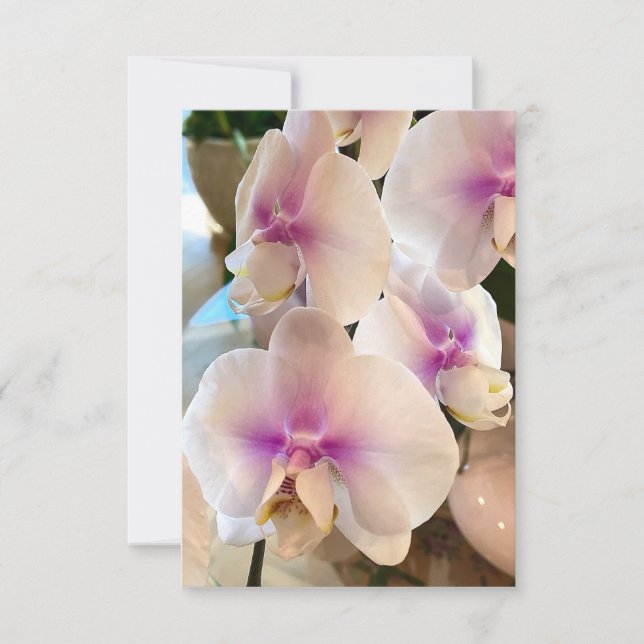 Lovely Orchids Thank You Card (Front)