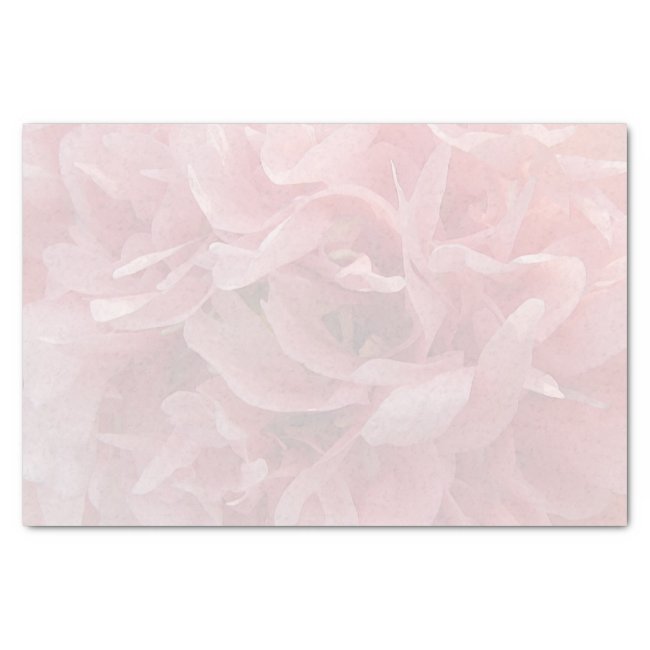 Lovely Pale Pink Poppy Petals Tissue Paper