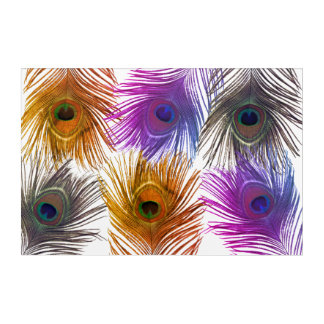Lovely peacock feathers acrylic print