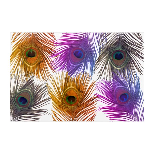 Lovely peacock feathers acrylic print (Front)
