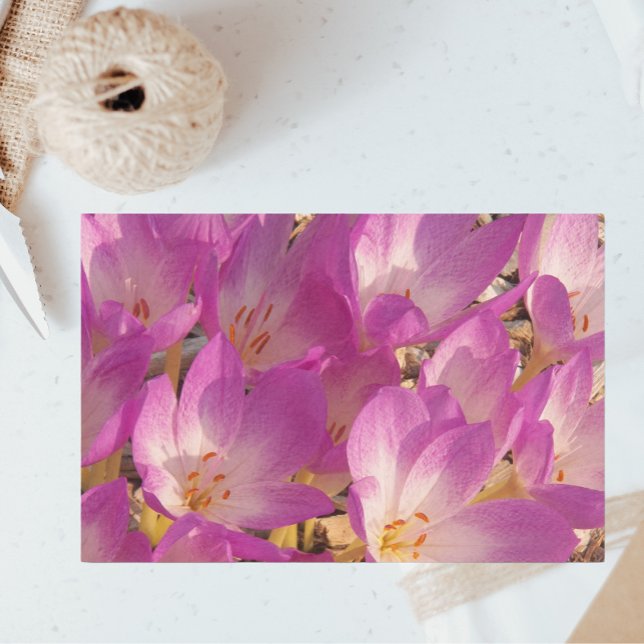 Lovely PInk Autumn Crocuses Floral Tissue Paper (In Situ)