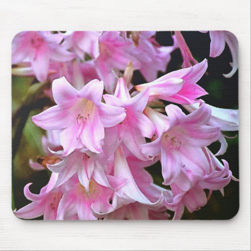 Lovely Pink Belladonna Amaryllis Lilies Mouse Pad