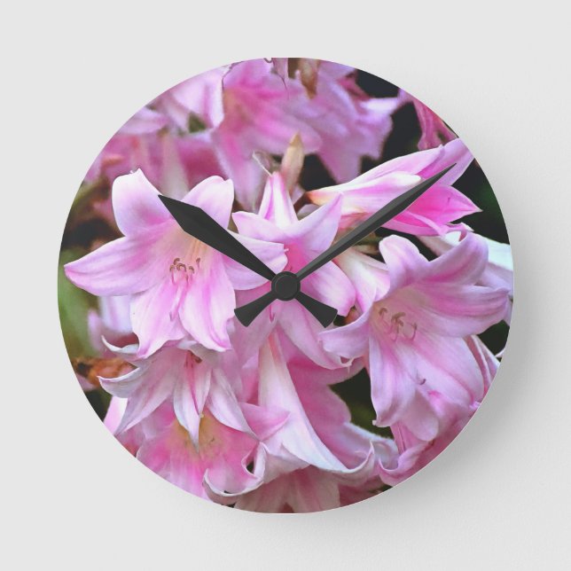 Lovely Pink Belladonna Amaryllis Lilies Round Clock (Front)