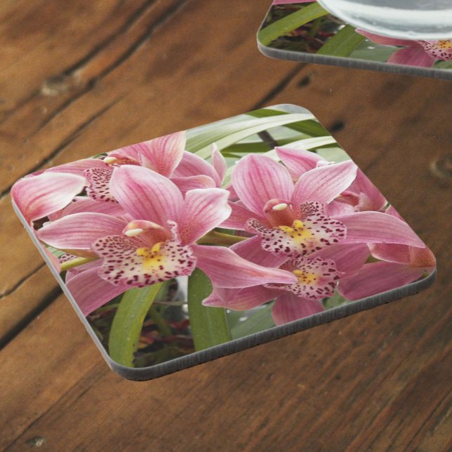Lovely Pink Cymbidium Orchids Floral Beverage Coaster (In Situ)