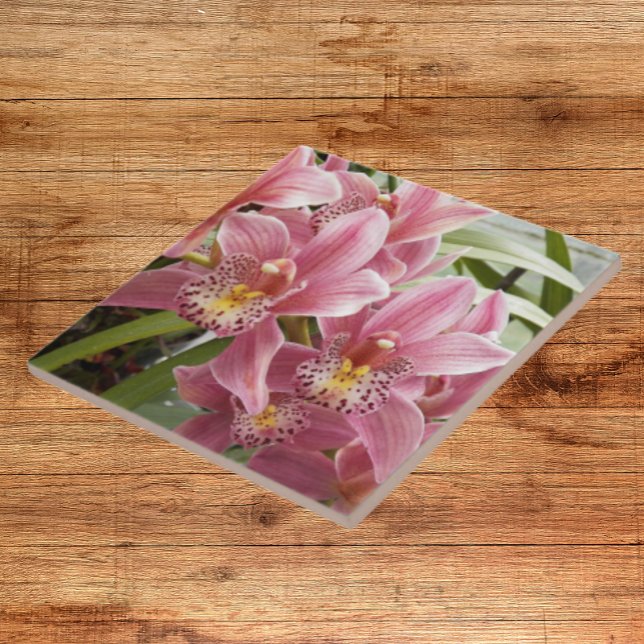 Lovely Pink Cymbidium Orchids Floral Ceramic Tile (In Situ)
