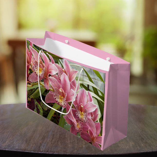 Lovely Pink Cymbidium Orchids Floral Large Gift Bag (In Situ)