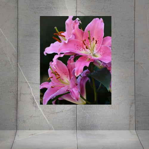 Lovely Pink Lilies Floral Acrylic Print