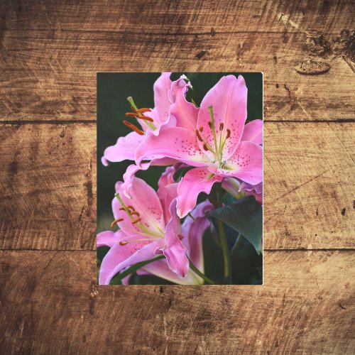 Lovely Pink Lily Blooms Floral Metal Print