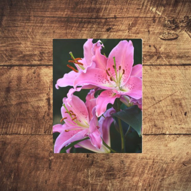 Lovely Pink Lily Blooms Floral Metal Print (In Situ)