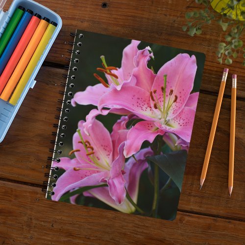 Lovely Pink Lily Blooms Floral Notebook