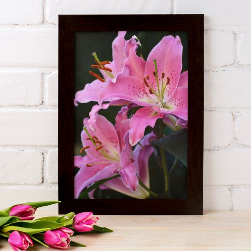 Lovely Pink Lily Blooms Floral Poster