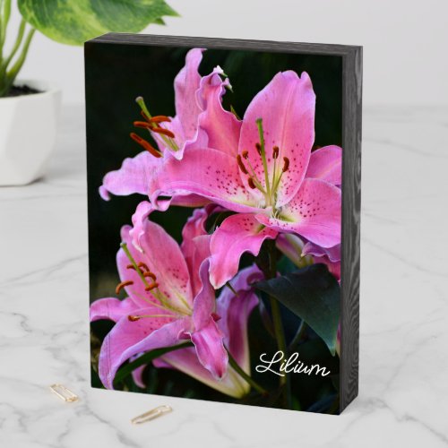 Lovely Pink Lily Blooms Floral Wooden Box Sign