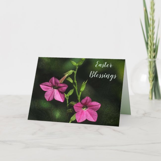 Lovely Pink Nicotiana Flowers Floral Easter Card