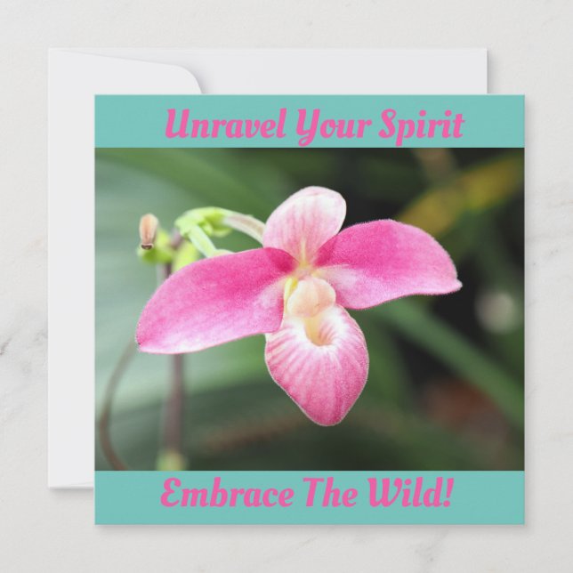 Lovely Pink Orchid (Front)