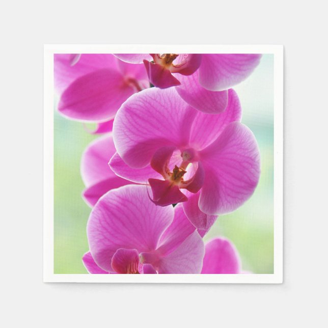 Lovely Pink Orchids Napkins (Front)