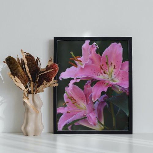 Lovely Pink Oriental Lily Blooms Floral Poster