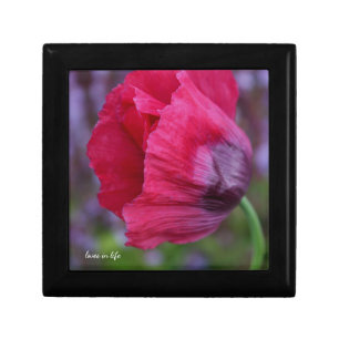 Lovely PInk & Purple Poppy Flower Gift Box
