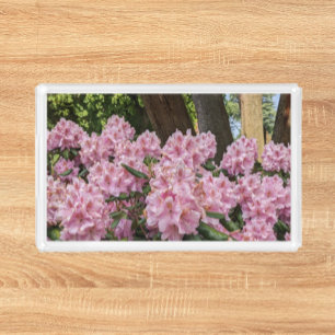 Lovely Pink Rhododendron Floral Acrylic Tray