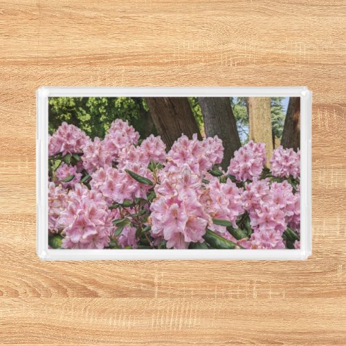 Lovely Pink Rhododendron Floral Acrylic Tray