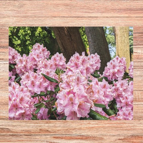 Lovely Pink Rhododendron Floral Canvas Print