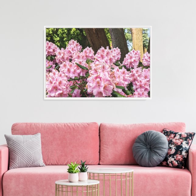 Lovely Pink Rhododendron Floral Canvas Print (Insitu(LivingRoom))