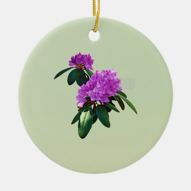 Lovely Pink Rhododendrons Ceramic Ornament (Front)
