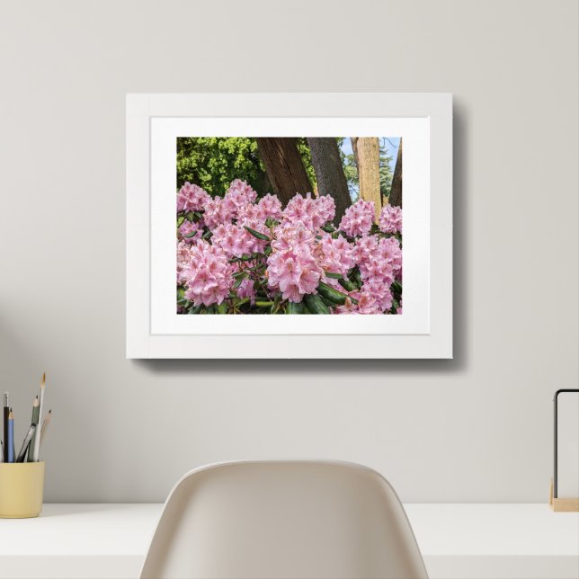 Lovely Pink Rhododendrons Floral Framed Art (Home Office)