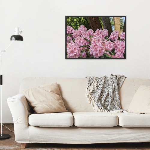 Lovely Pink Rhododendrons Floral Poster