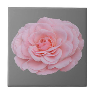 Lovely pink rose ceramic tile