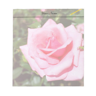 lovely pink rose flower with sweet hearts notepad