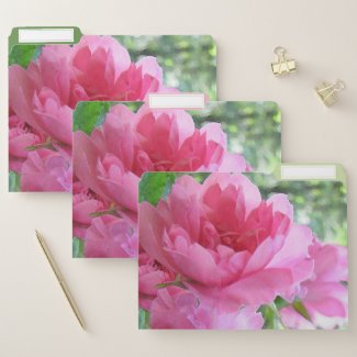 Lovely Pink Rose Garden Flower File Folder Set