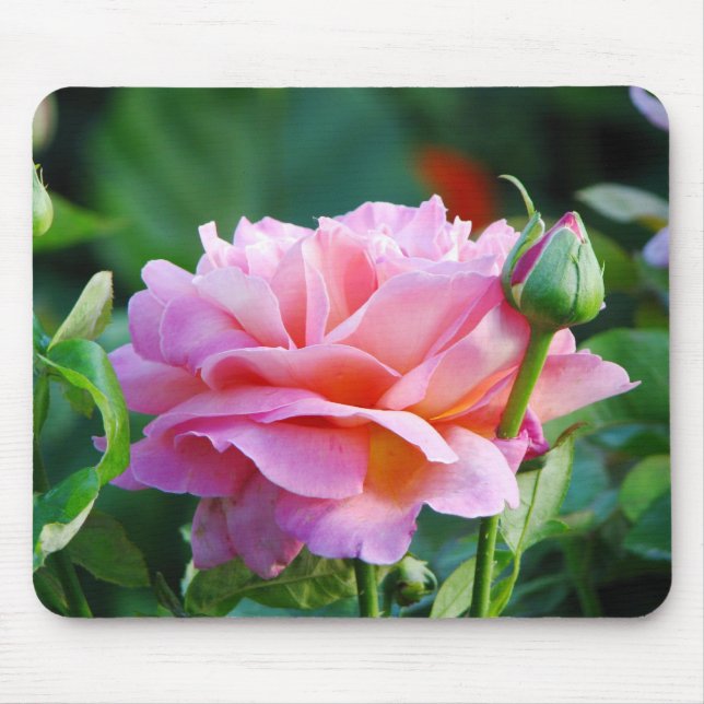 Lovely Pink Rose Mousepad (Front)