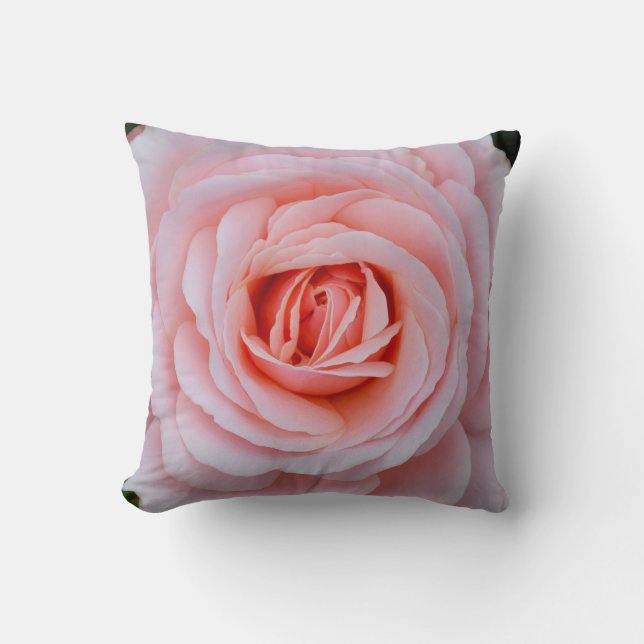 Lovely pink rose throw pillow (Front)