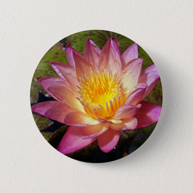 Lovely Pink Water Lily Photograph Button (Front)