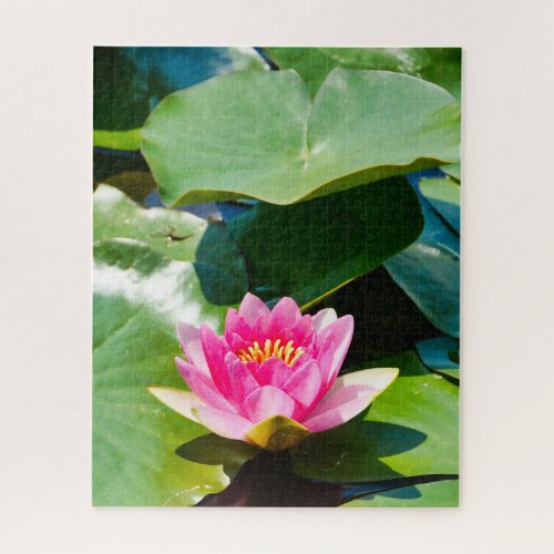 Lovely Pink water lily with green leaves Jigsaw Puzzle